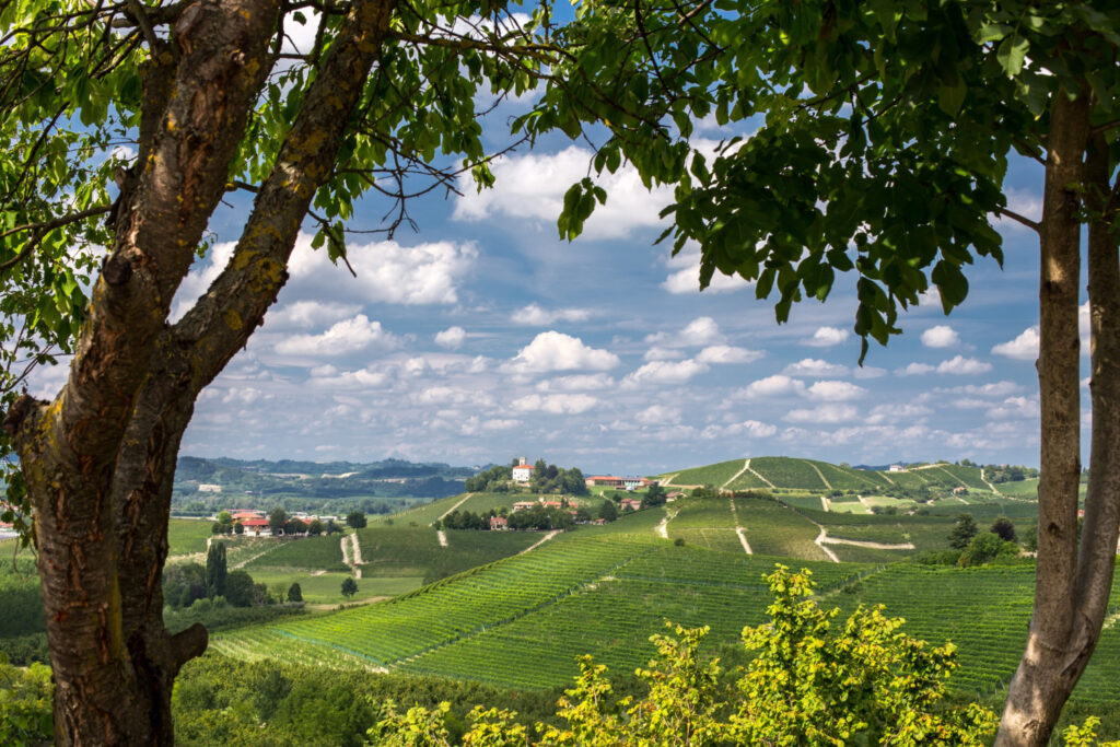 Panoramablick auf französische Weinberge mit Hügeln und Weingut im Hintergrund
