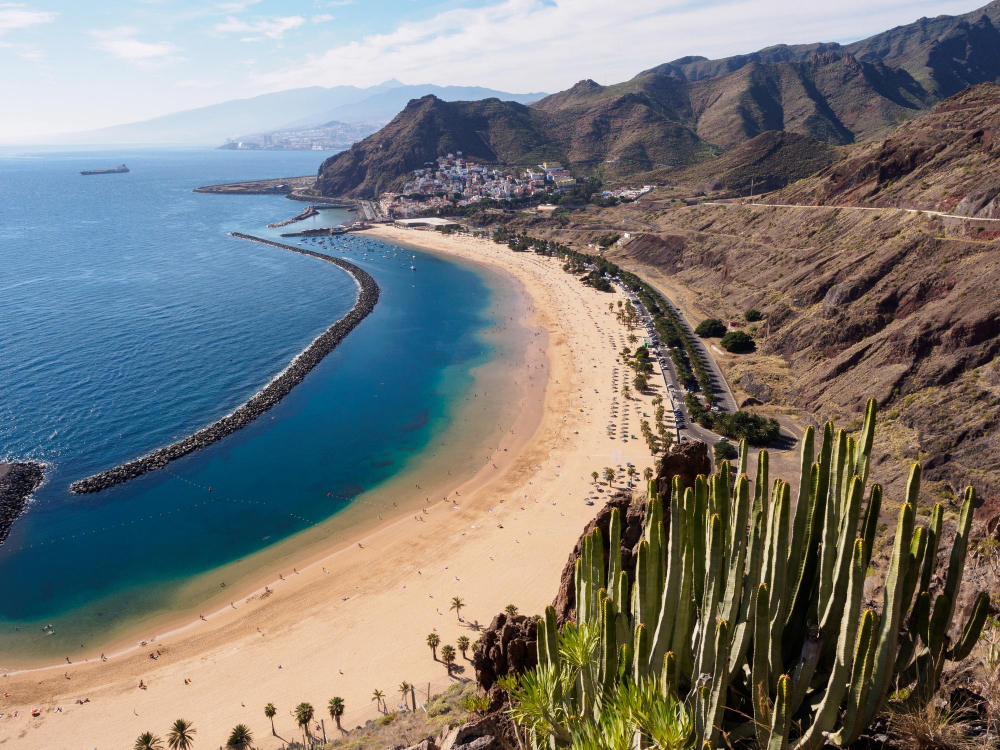 Panoramablick auf den goldenen Strand Playa de las Teresitas bei Santa Cruz, eingerahmt von Bergen und Kakteen – typisches Teneriffa-Motiv.
