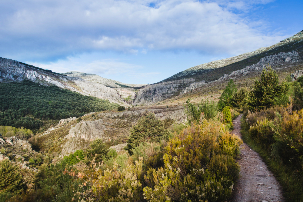 Wanderweg in den Picos de Europa, Kantabrien – grüne Almwiesen, Felsen und spektakuläre Berglandschaft nahe der Atlantikküste