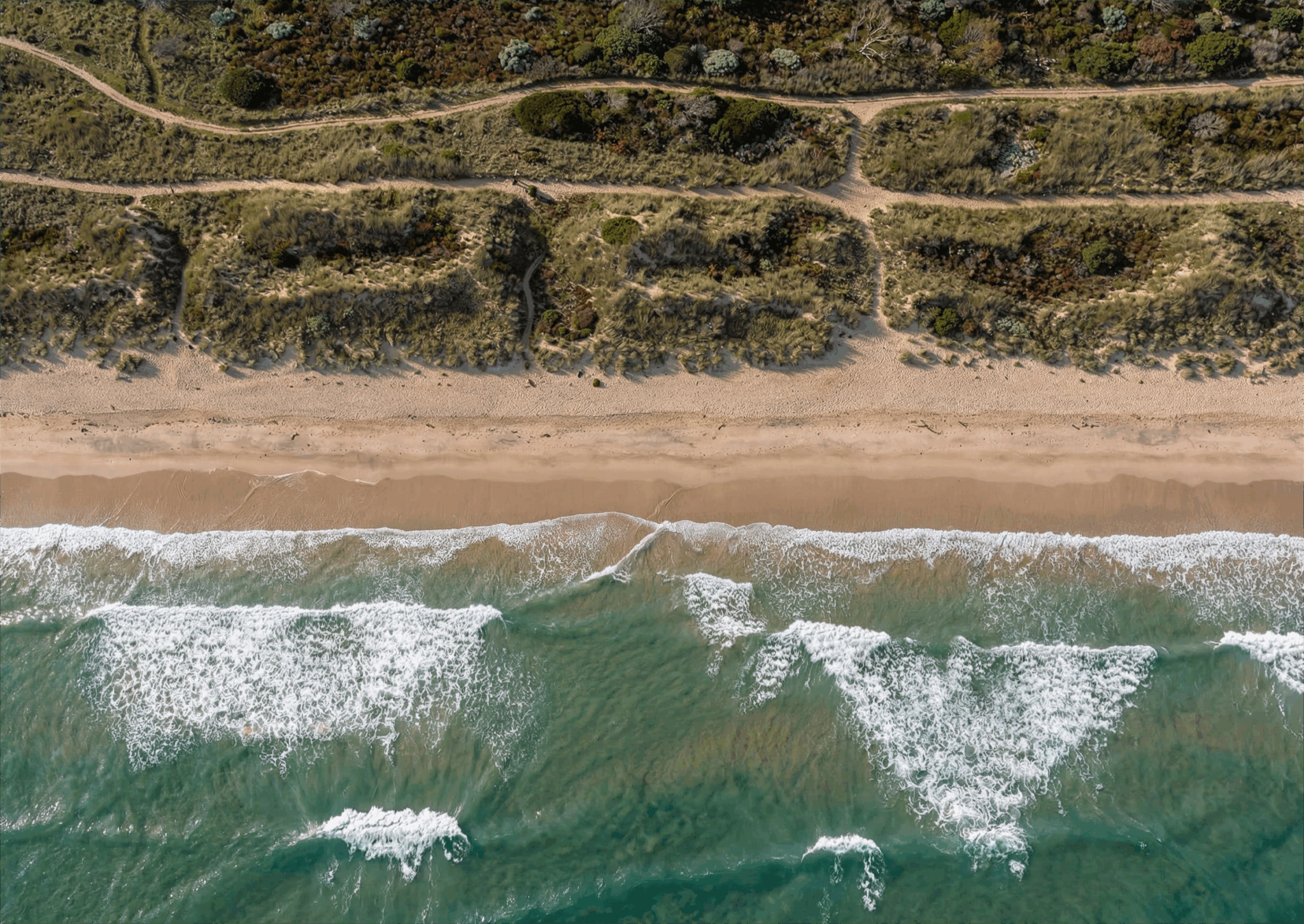 Luftaufnahme der französischen Atlantikküste mit Pinienwald, Sanddünen und türkisblauem Meer mit einrollenden Wellen.