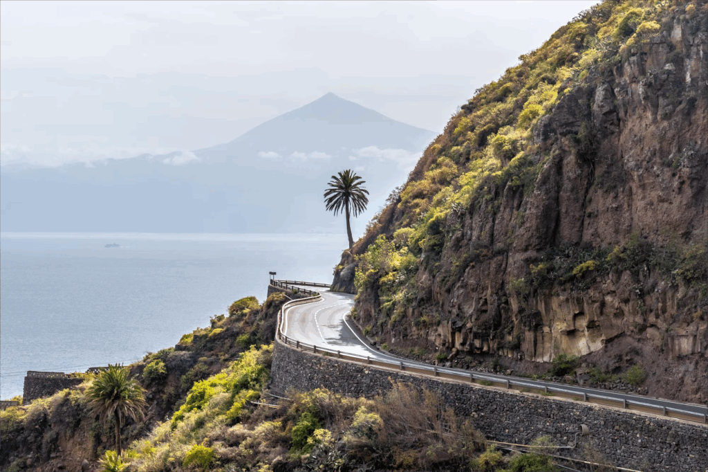 Kurvige Küstenstraße mit Palme und Blick auf den Teide – Teneriffas landschaftliche Vielfalt und Freiheit spürbar auf einer Inselstraße.