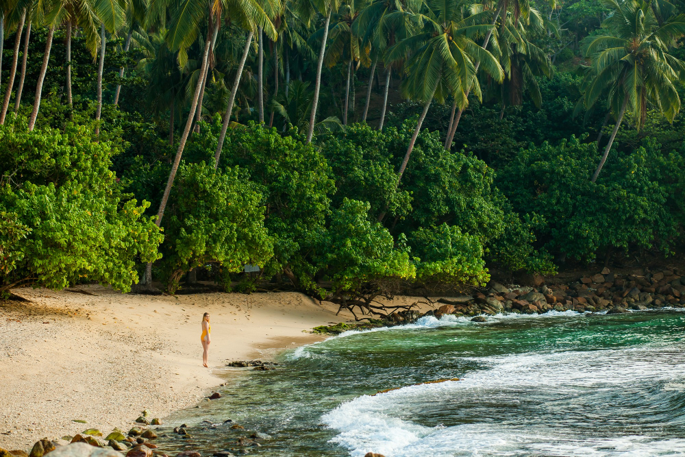 Einsame Palmenbucht in Sri Lanka – goldener Sandstrand und tropische Vegetation am Meer
