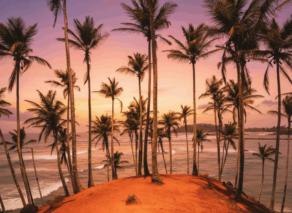 Coconut Tree Hill in Mirissa, Sri Lanka – Palmenklippe bei Sonnenuntergang mit Blick auf die Wellen