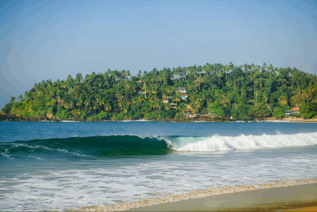 Strand an der Ostküste Sri Lankas nahe Arugam Bay – tropischer Palmenhügel und sanfte Wellen
